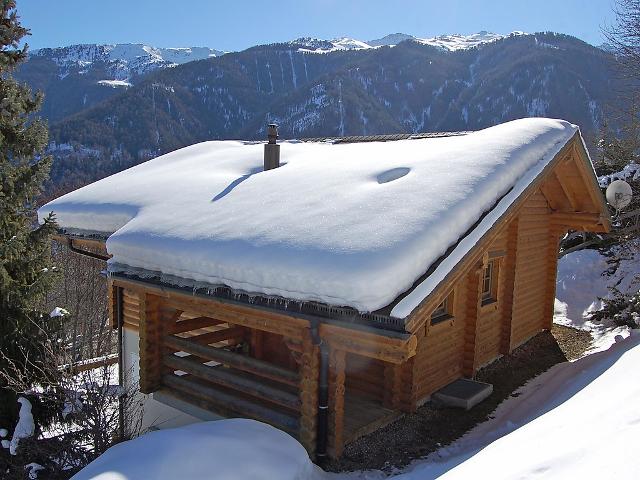 Chalet Bardane CH1961.675.1 - Nendaz