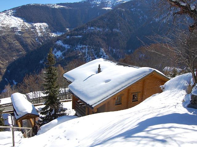 Chalet Bardane CH1961.675.1 - Nendaz