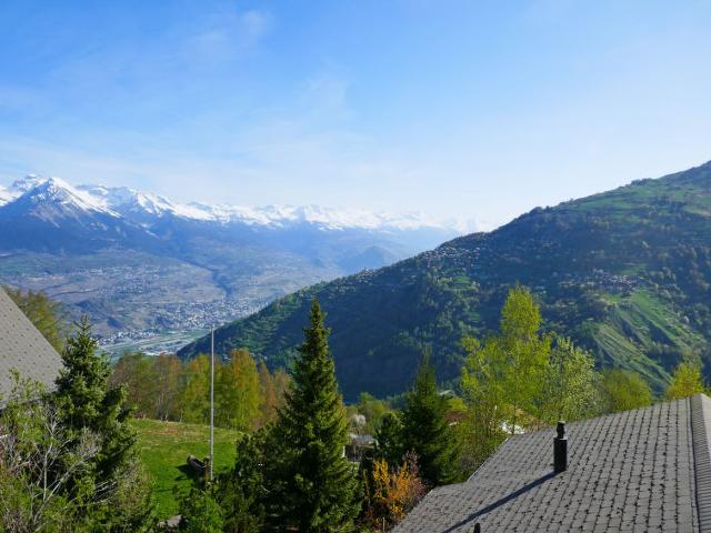Chalet Crocus - Nendaz