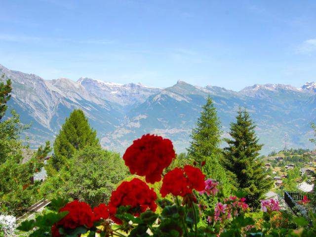 Châlet Les Etoiles - Nendaz