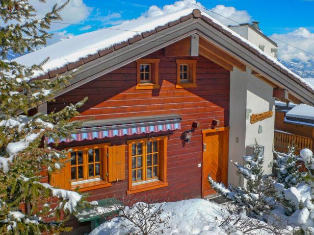 Châlet Les Muguets - Nendaz