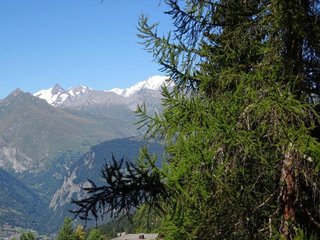 Appartements Belles Challes - Les Arcs 1800
