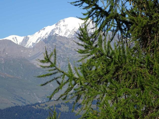 Appartements Belles Challes - Les Arcs 1800