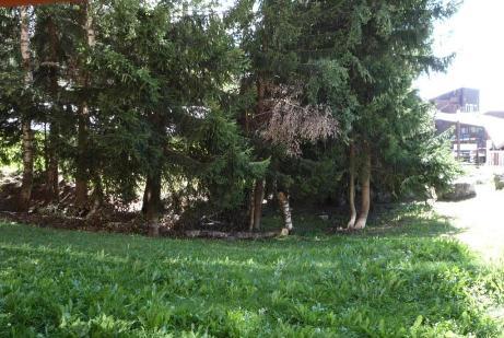 Appartements Belles Challes - Les Arcs 1800