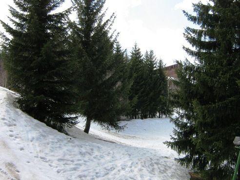 Appartements Belles Challes - Les Arcs 1800
