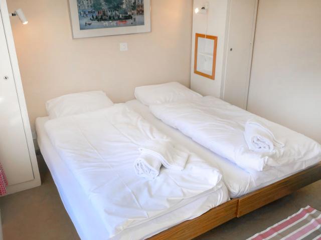 Flat Bel Alp D3 - Nendaz