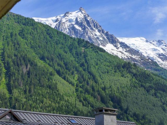 Flat Blanc Neige - Chamonix Centre
