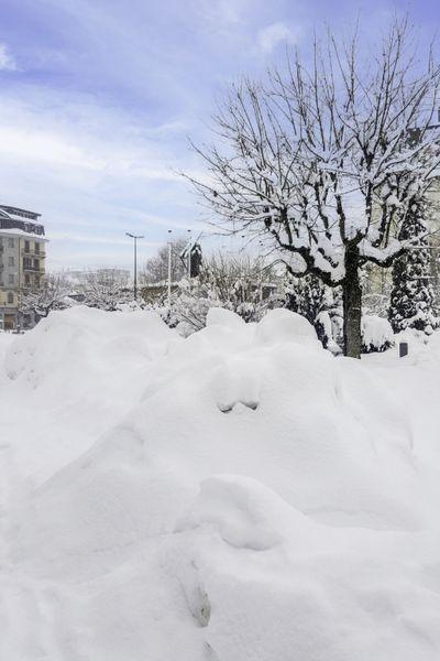 Flat Le Savoisien - Chamonix Centre