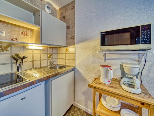 Flat Argousier 45 A - Les Menuires Fontanettes