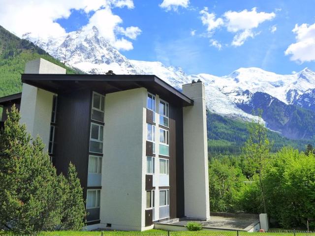 Flat Arve 1 et 2 - Chamonix Sud