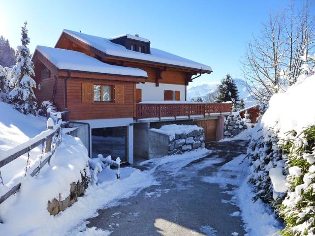 Châlet Chalet Petit Pont - Villars - sur - Ollons