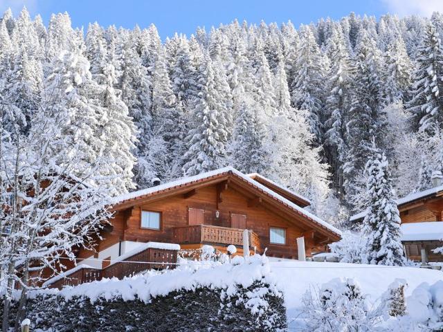 Châlet Chalet Petit Pont - Villars - sur - Ollons