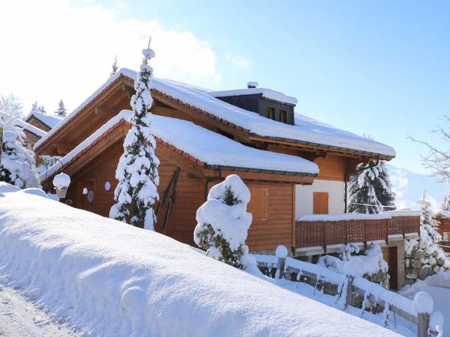 Châlet Chalet Petit Pont - Villars - sur - Ollons