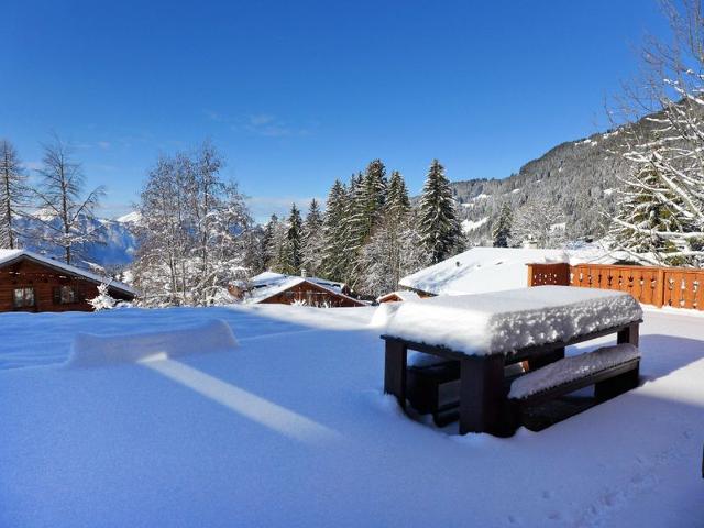 Châlet Chalet Petit Pont - Villars - sur - Ollons