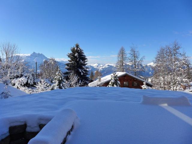 Châlet Chalet Petit Pont - Villars - sur - Ollons