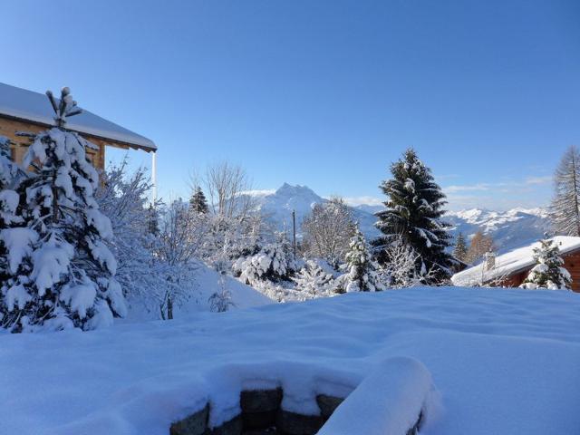 Châlet Chalet Petit Pont - Villars - sur - Ollons