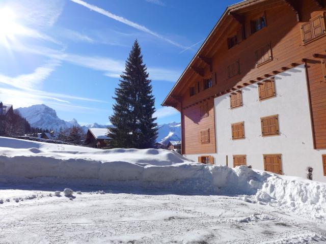 Châlet Soldanelles 3 - Villars - sur - Ollons