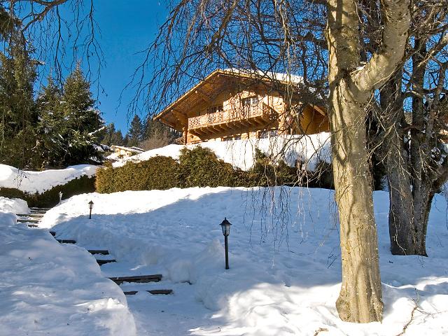 Chalet L'Eau Vive CH1884.580.1 - Villars - sur - Ollons 
