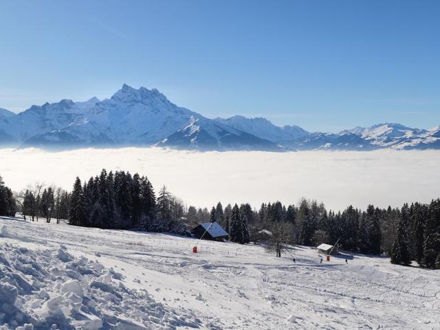 Châlet Les Bruyères 25 - Villars - sur - Ollons