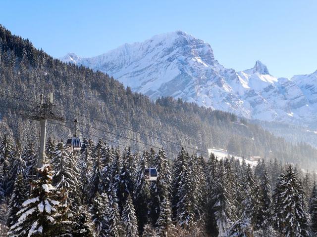 Châlet Ermitage 13 - Villars - sur - Ollons