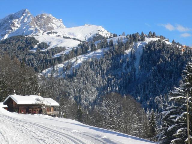 Châlet Ermitage 13 - Villars - sur - Ollons