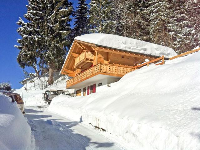 Châlet Saint Piran - Villars - sur - Ollons