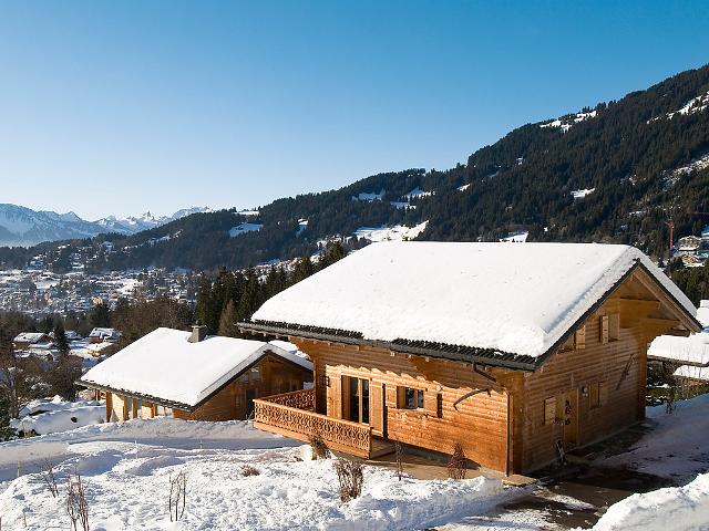 Chalet Chalet Petit Roc - Villars - sur - Ollons