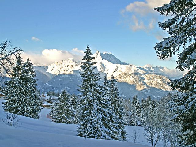 Chalet Chalet Petit Roc - Villars - sur - Ollons