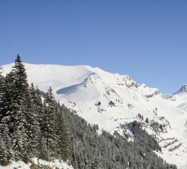 Flaine ski