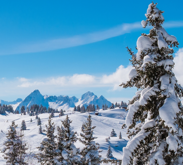Chamonix ski
