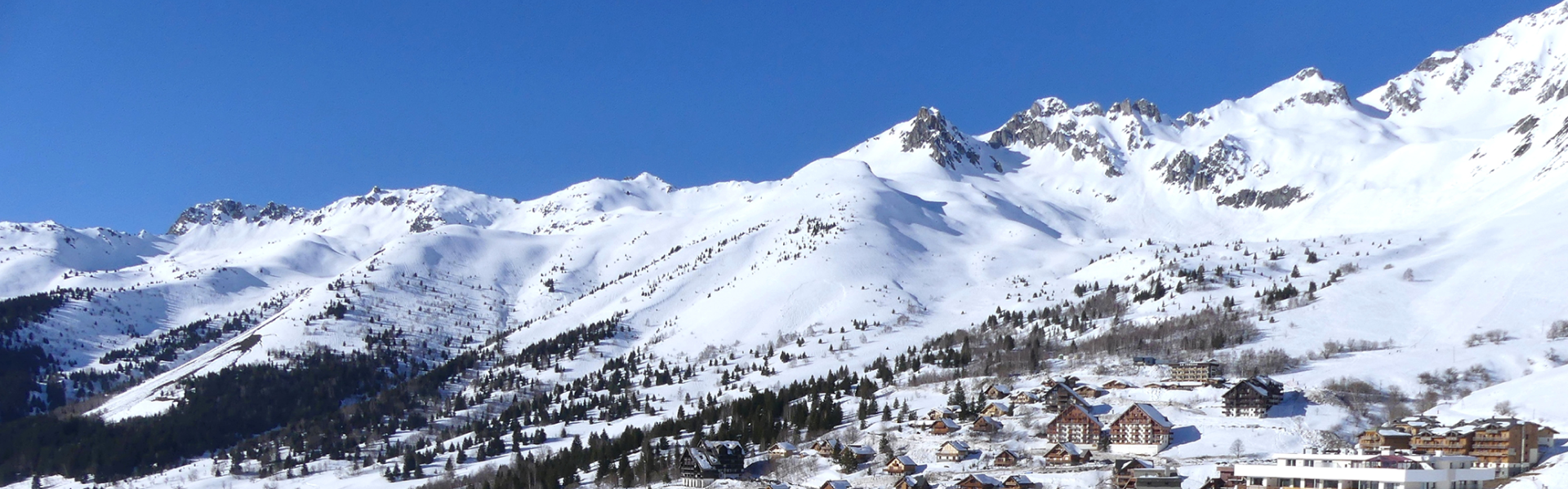 Saint François