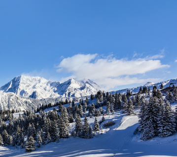 skigebieden